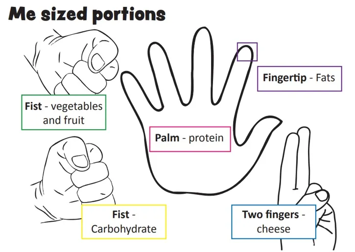 Diagram showing portion sizes based on the size of the hand