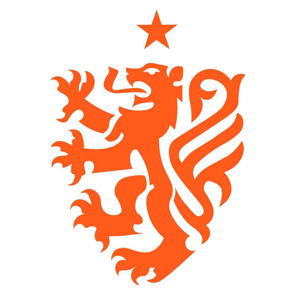 Nottingham Lions FC Logo