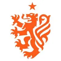Nottingham Lions FC Logo