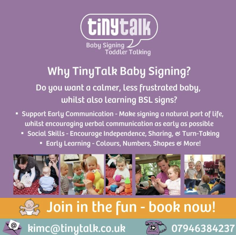 Tiny Talk Baby Signing Toddler Talking details
