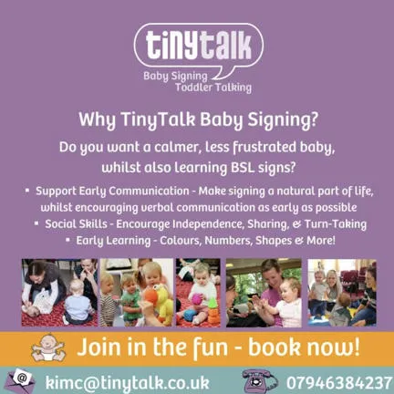 Tiny Talk Baby Signing Toddler Talking details