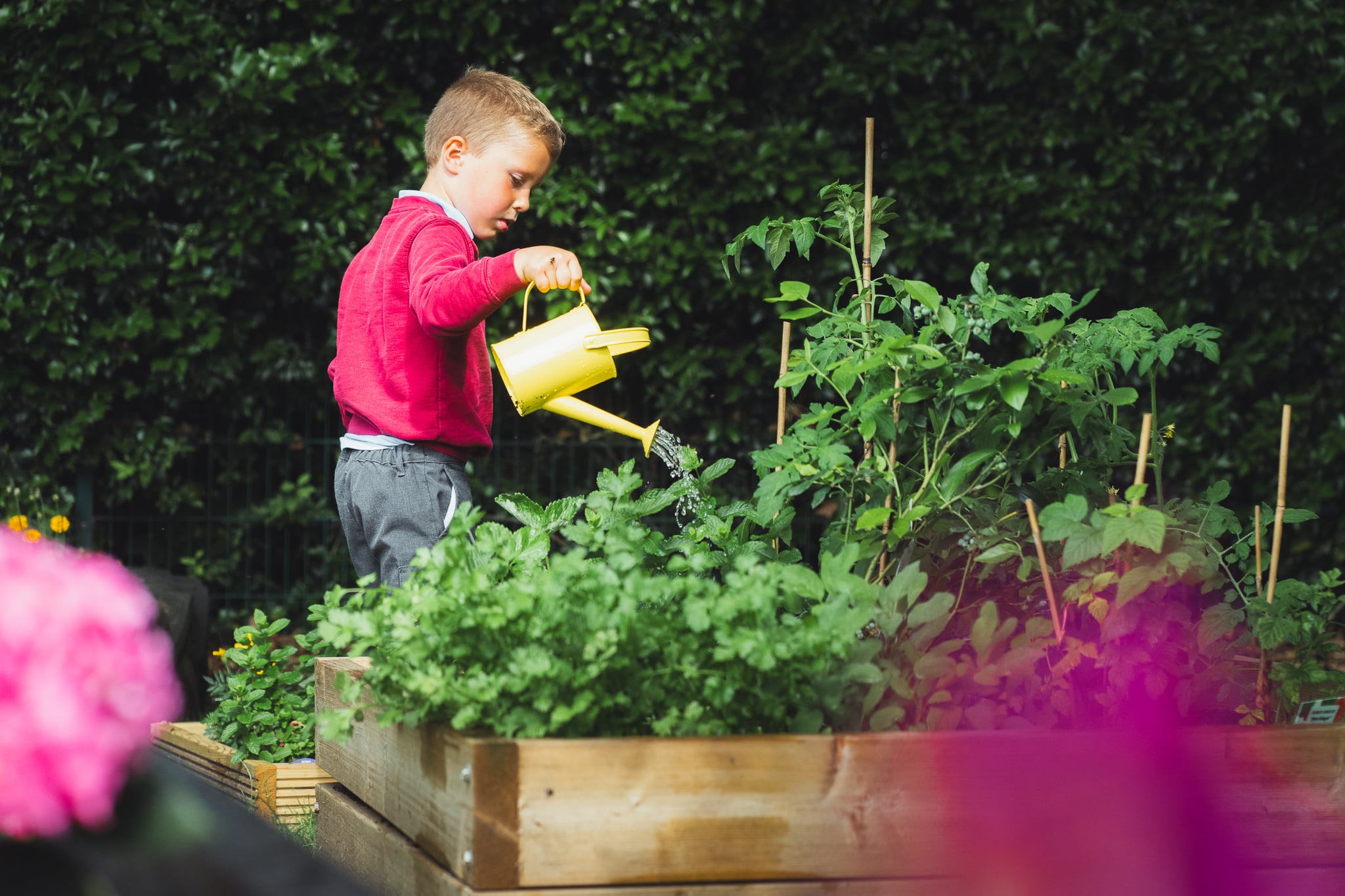 Gardening