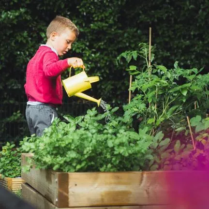 Gardening