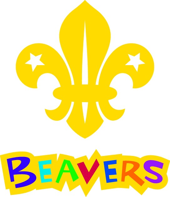 Beavers