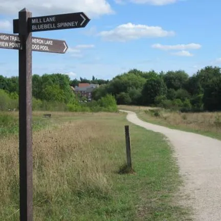 View of path in Cotgrave Country Park
