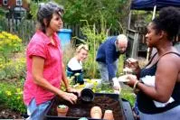 People Gardening