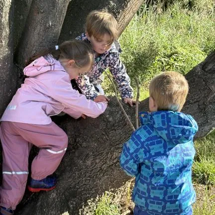 photograph of children playing in a tree