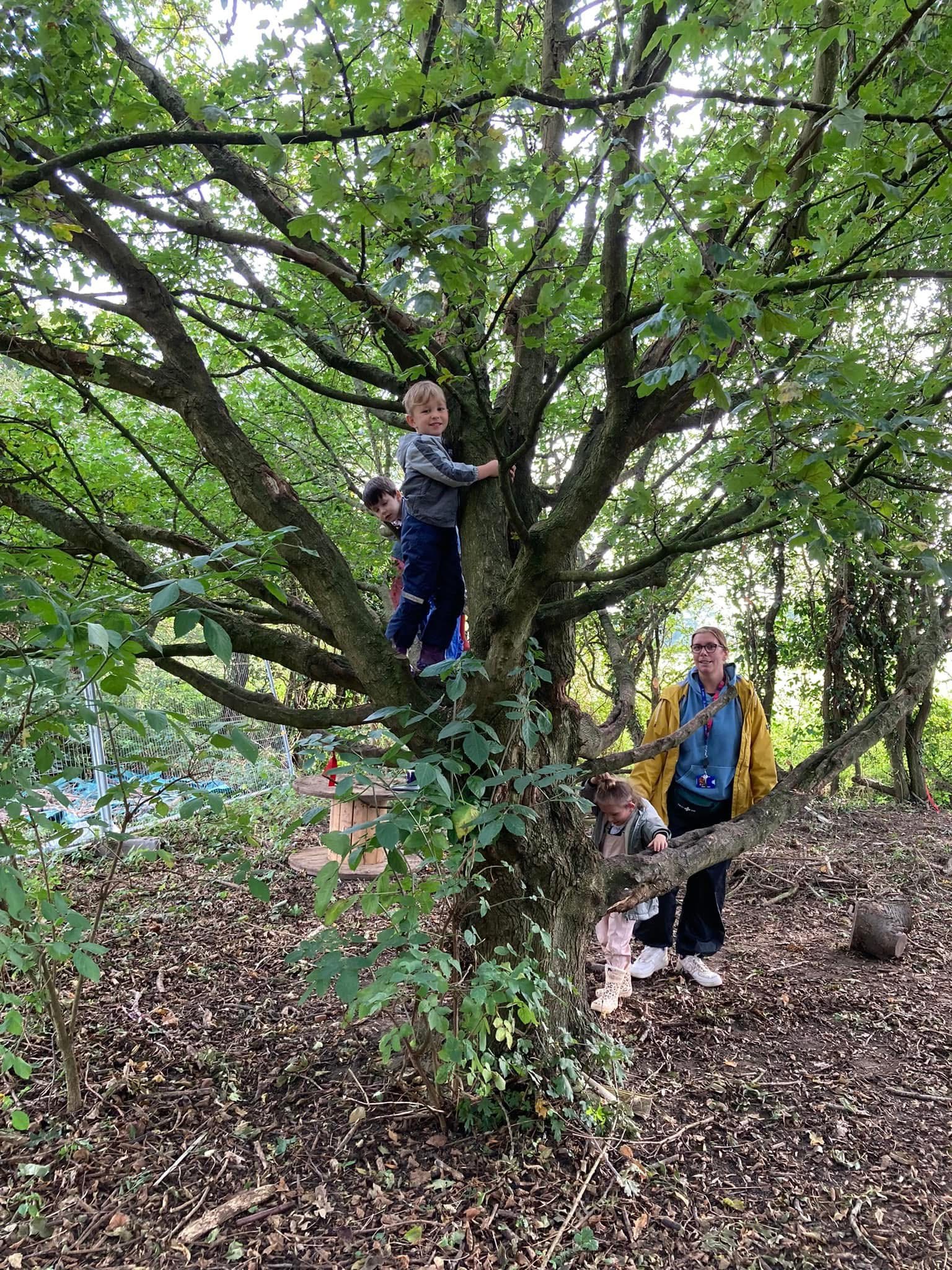Forest school