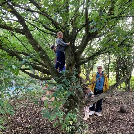Forest school