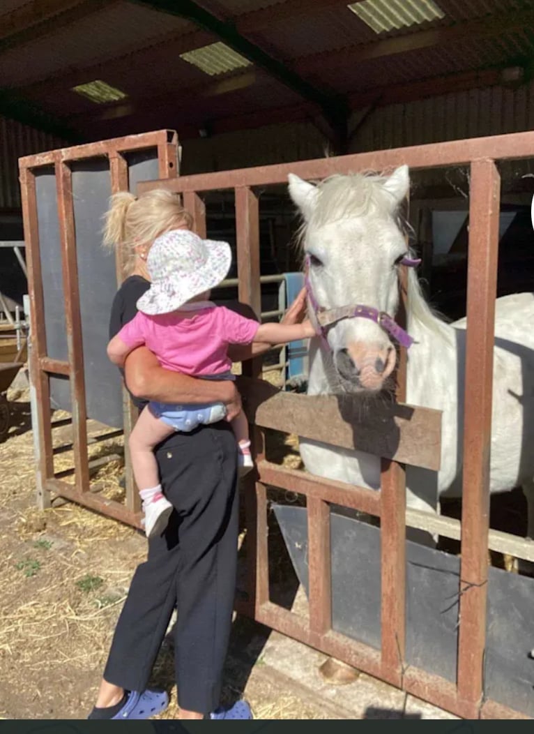 Visiting the farm