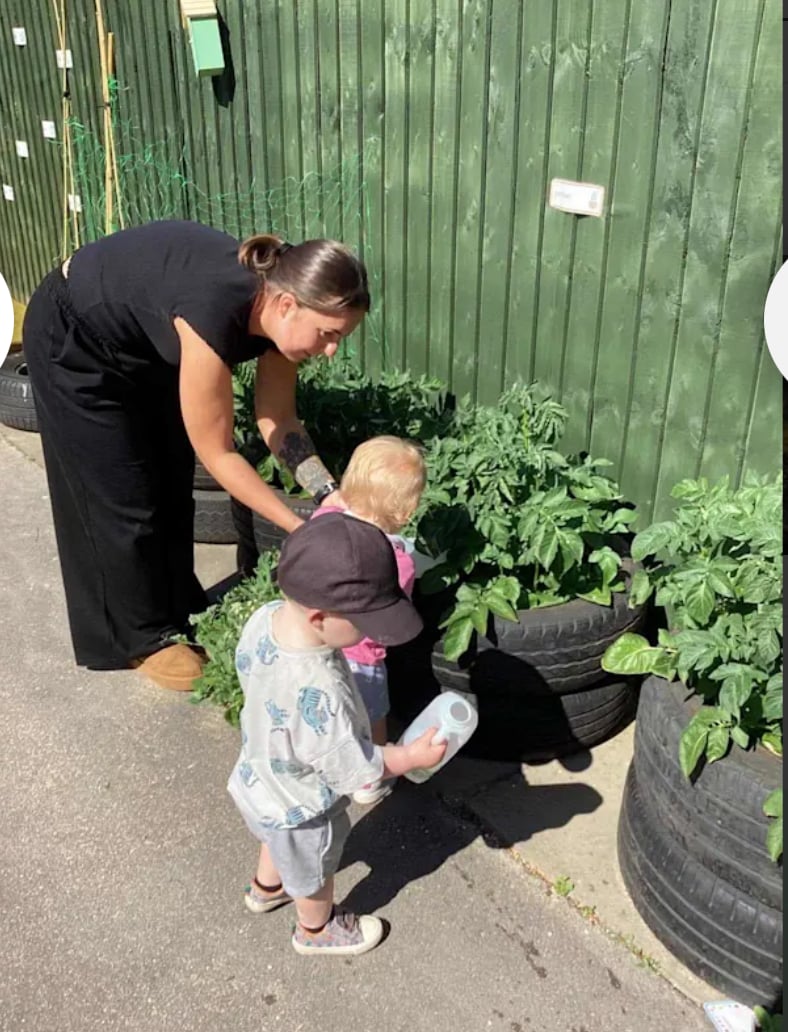 Growing our own vegetables