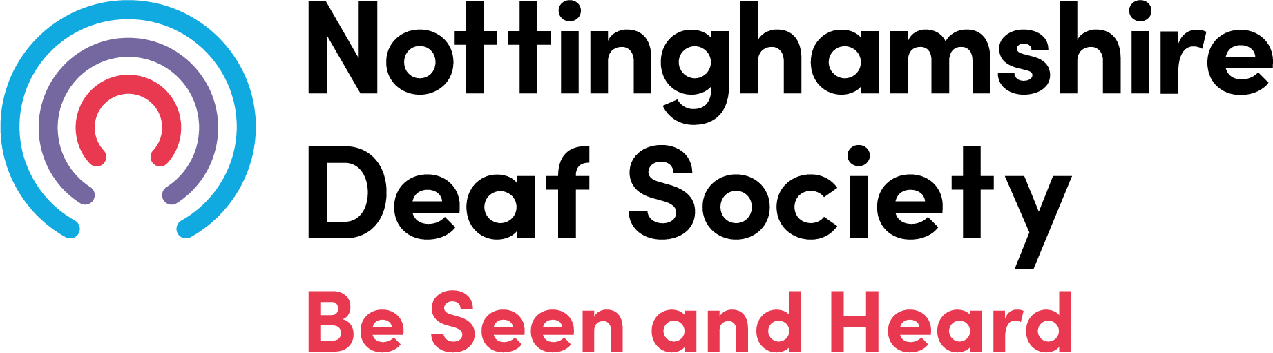 NDS Logo