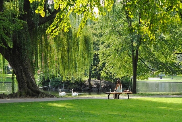 Image of park