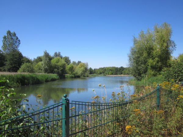 View of the lake at Rushcliffe Country Park
