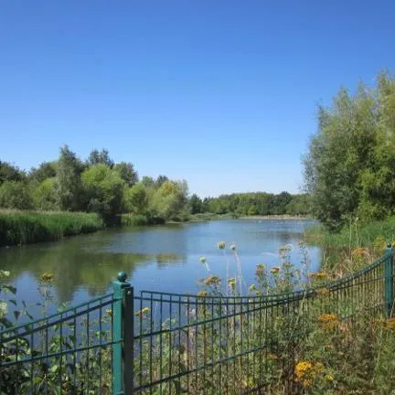 View of the lake at Rushcliffe Country Park