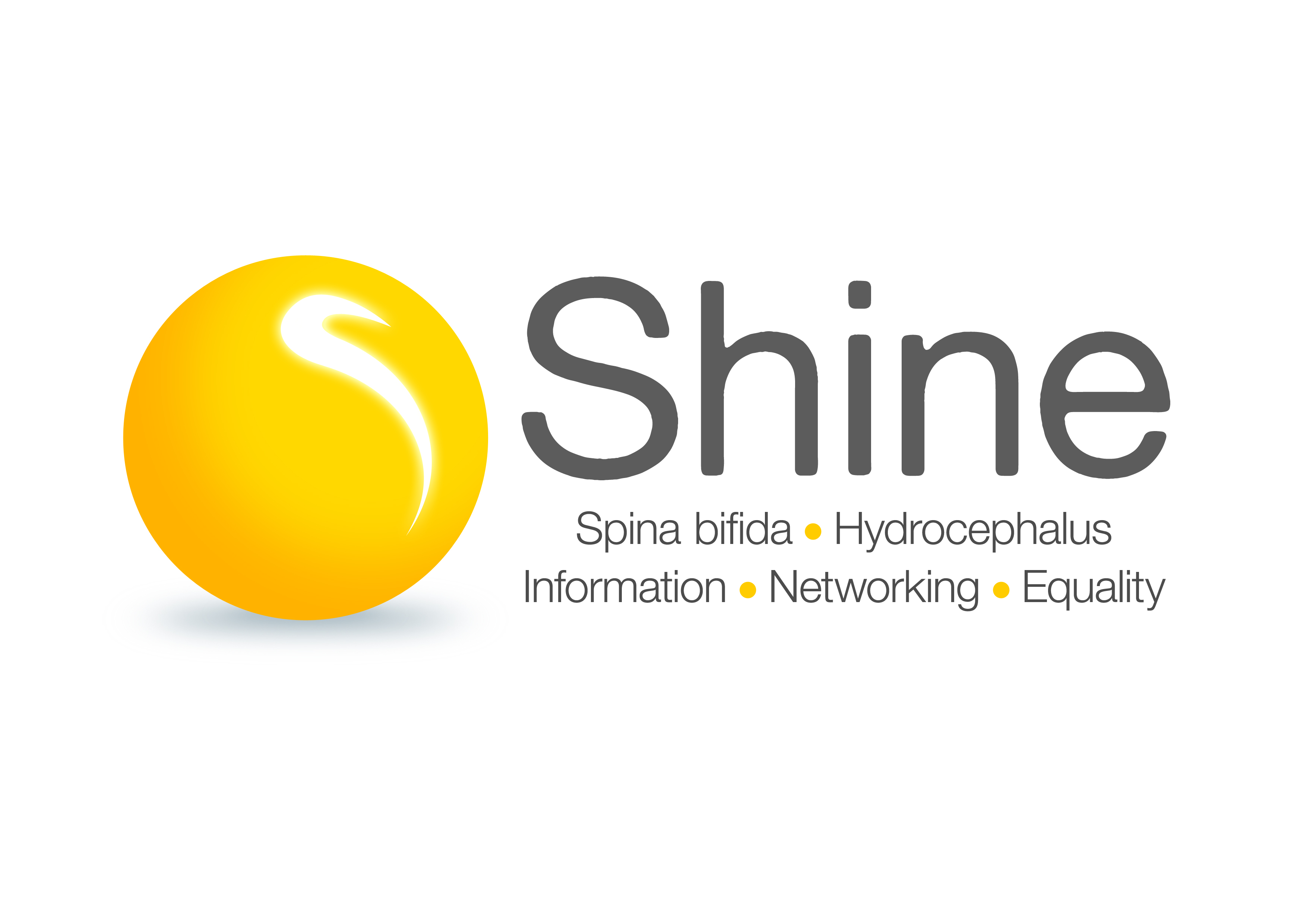 Shine Logo