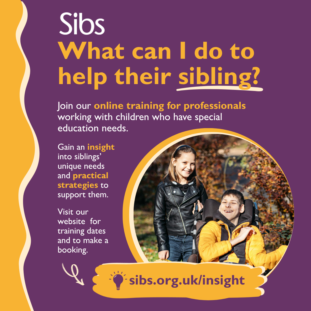 Supporting siblings workshop