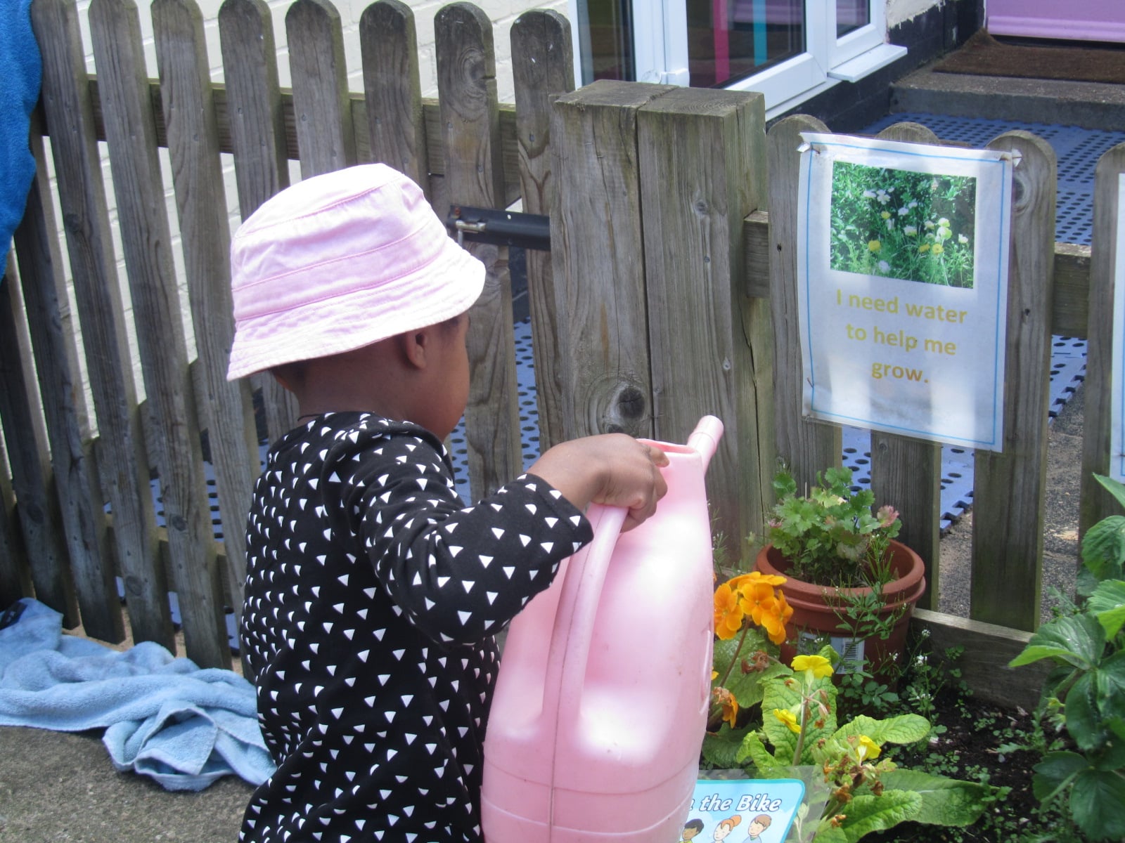 watering.jpg