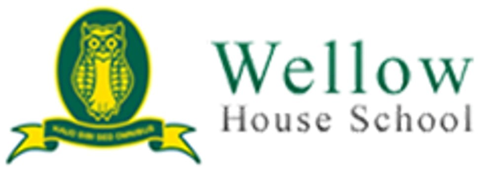 Wellow House School - Pre Prep (Nursery)