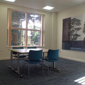 Cedar Room