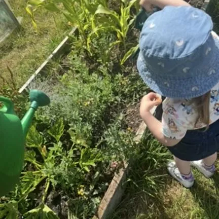 In the community - Nature and Local Allotment community support
