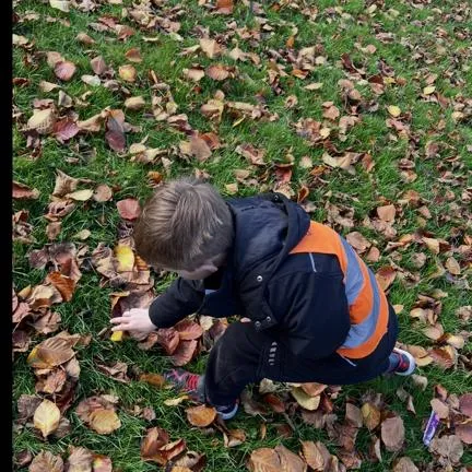 In the community - Nature Walks